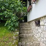 Slapovi